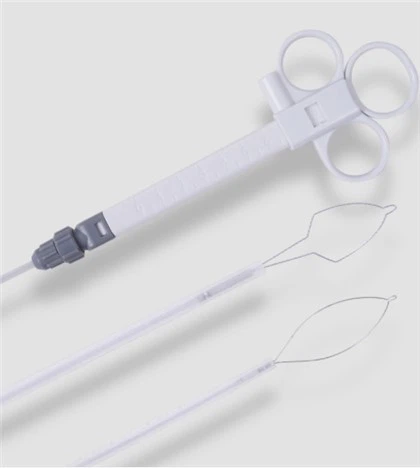 Ansa monouso di tipo ovale per endoscopia